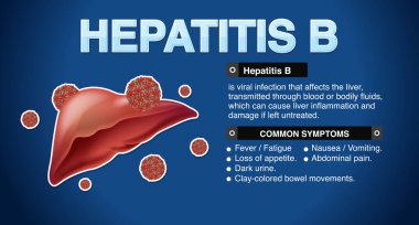Hepatit B Infographic illüstrasyonunun belirtileri