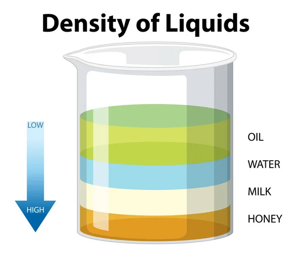 Density Liquids Science Experiment Illustration — Vector de stock