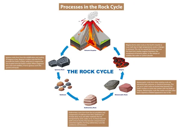 Ilustración Del Diagrama Procesos Del Ciclo Roca — Vector de stock