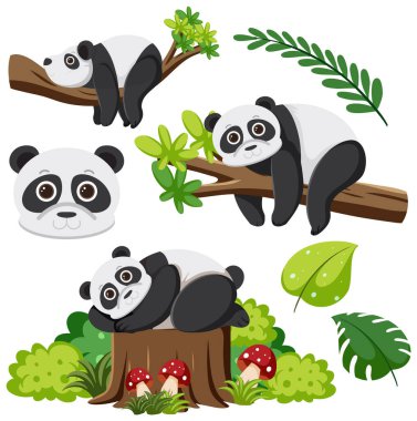 Bir dizi panda çizgi film karakteri çizimi