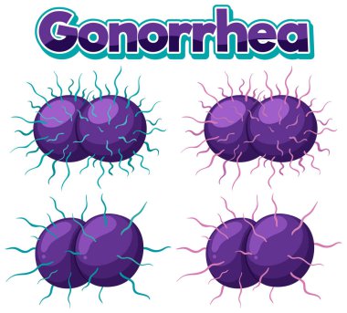 Beyaz arkaplan çizimi üzerine Neisseria gonorrhoeae