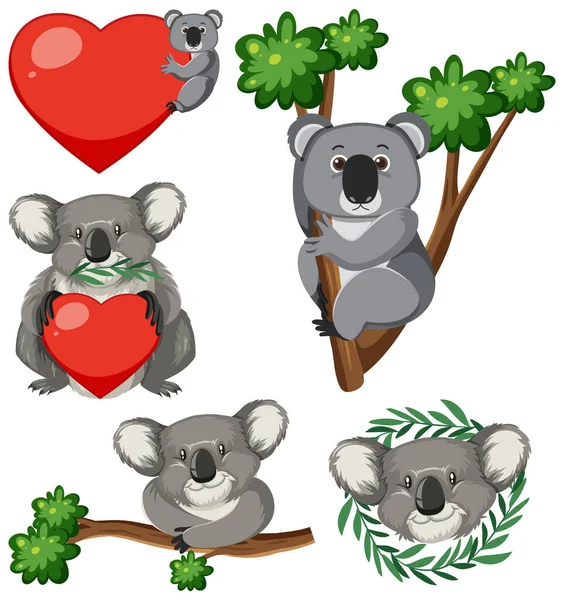 Ensemble Ours Koala Main Pour Sauver Illustration Animale — Image vectorielle