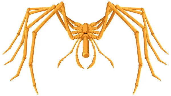 Jättiläinen Merihämähäkki Sarjakuva Eristetty Kuva — vektorikuva