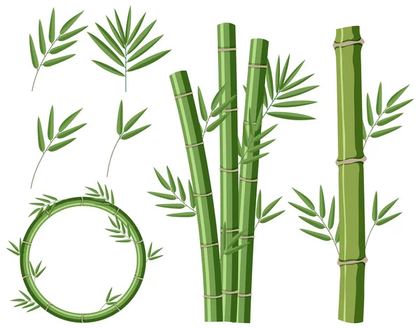 Conjunto Mistura Ilustração Bambu — Vetor de Stock