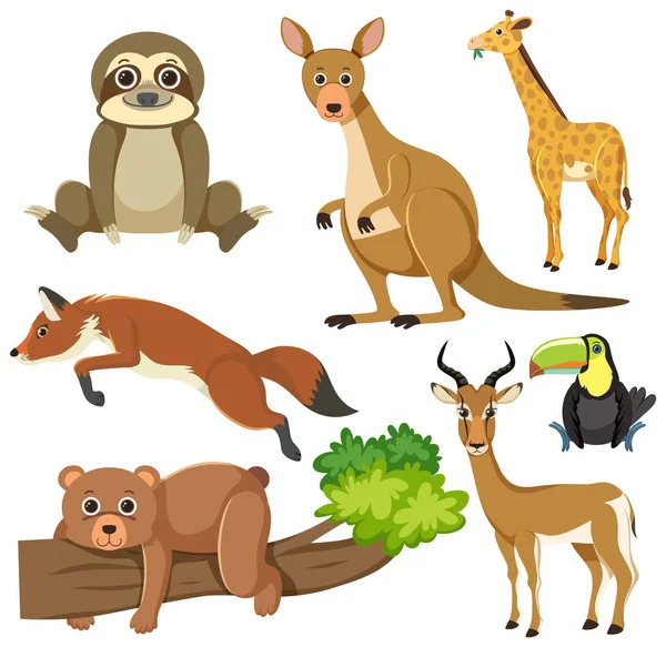 Illustrazione Della Collezione Cartoni Animati Animali Selvatici — Vettoriale Stock