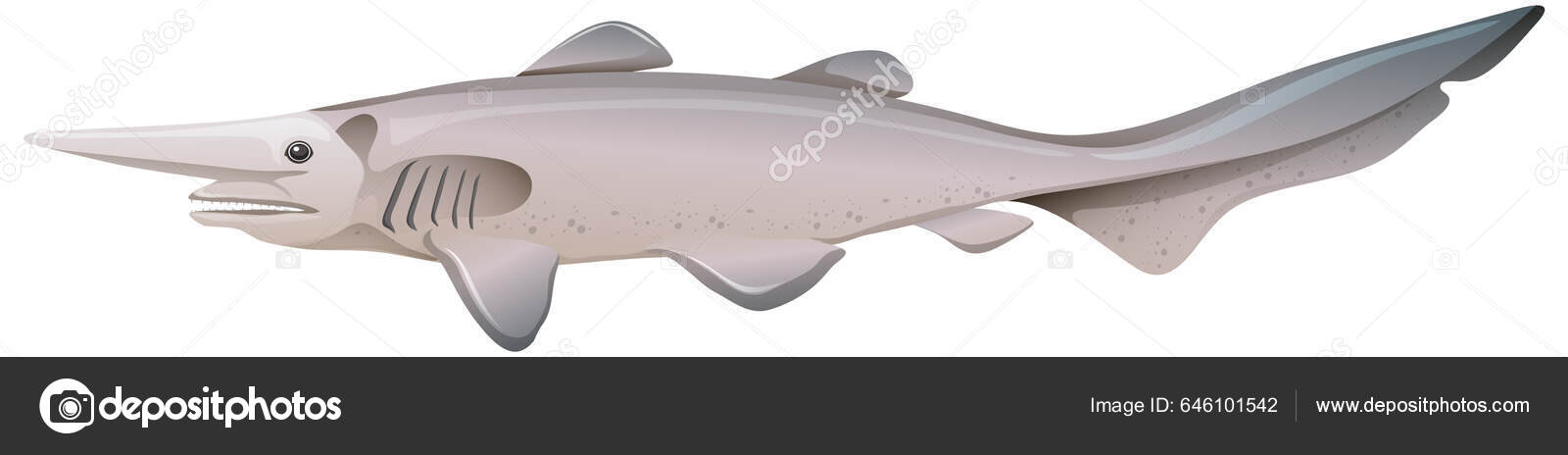 Deep Sea Creatures Goblin Shark Illustration Stock Vector by