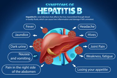 Hepatit B Infographic illüstrasyonunun belirtileri