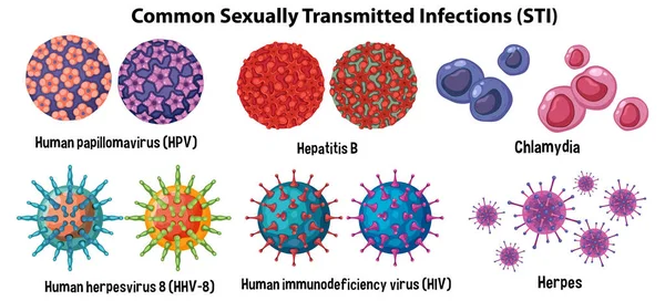 Infecciones Transmisión Sexual Its Comunes Ilustración — Vector de stock
