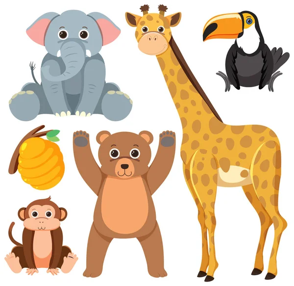 Set Semplici Simpatici Animali Cartone Animato Personaggio Illustrazione — Vettoriale Stock