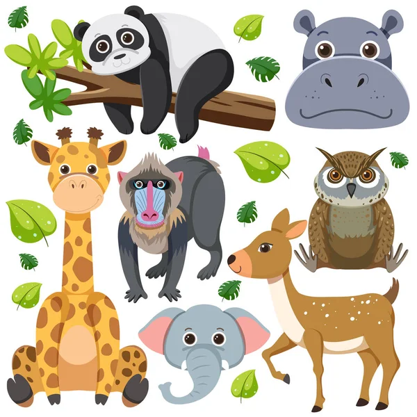 Set Von Mix Animal Charakter Illustration — Stockvektor