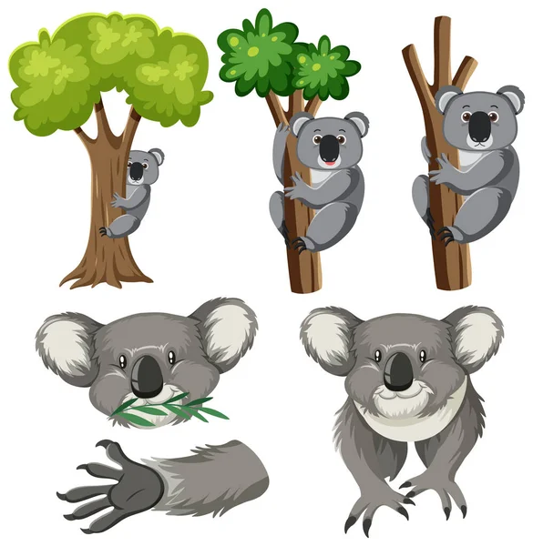 Ensemble Illustration Personnage Dessin Animé Koala Mignon — Image vectorielle