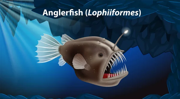 Anglerfish Lophiiformes Vektör Tasarımı Illüstrasyonu — Stok Vektör