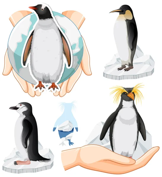 Söt Pingvin Ikoner Set Illustration — Stock vektor