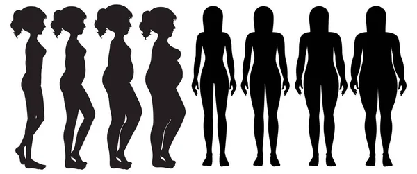 Eine Reihe Von Silhouetten Des Weiblichen Körpers — Stockvektor