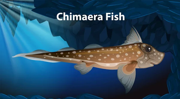 Chimaera Fish Vector Design Illustration — Stock Vector