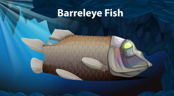 Barreleye Fish Vector Ontwerp Illustratie — Stockvector