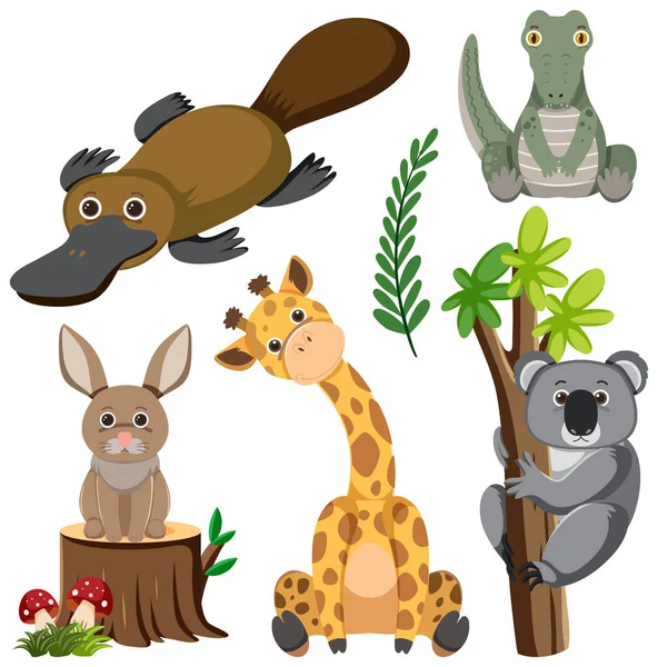 Άγρια Ζώα Εικονογράφηση Συλλογή Κινουμένων Σχεδίων — Διανυσματικό Αρχείο