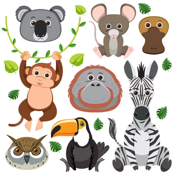 Conjunto Mistura Ilustração Caráter Animal —  Vetores de Stock