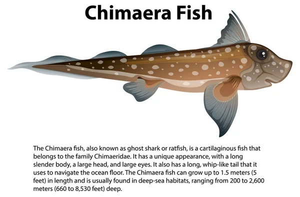 Chimaera Fisch Mit Informativer Textillustration — Stockvektor