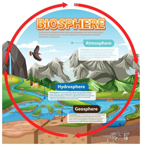 Biosphärenökologie Infografik Zur Veranschaulichung Des Lernens — Stockvektor