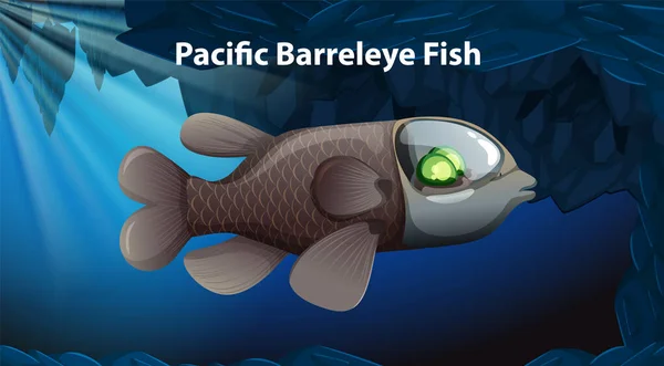 Pacific Barreleye Balık Vektörü Tasarımı Çizimi — Stok Vektör