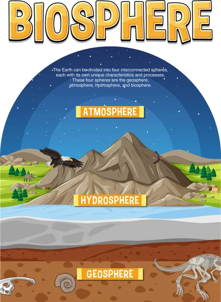 Biosfera Ecologia Infografica Apprendimento Illustrazione — Vettoriale Stock