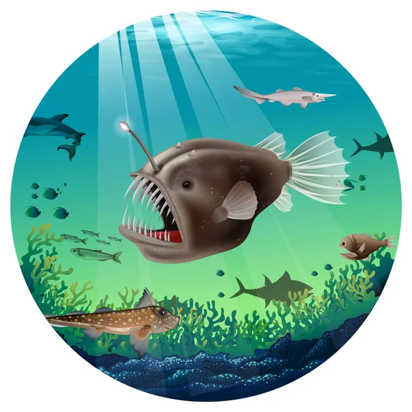 Deep Sea Anglerfish Sea Illustration — Stockový vektor