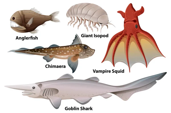 Deep Sea Creatures Collection Illustration — Stock Vector