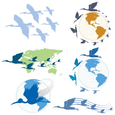 Set of different bird cartoon characters illustration