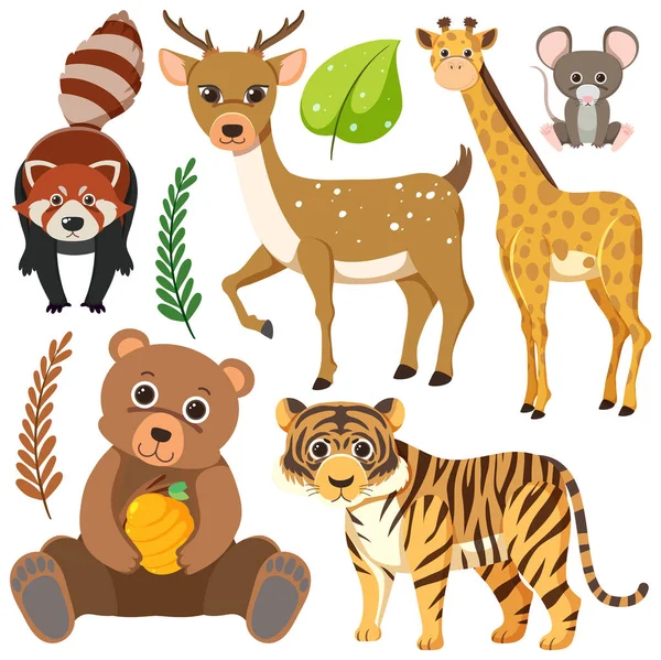 Animais Selvagens Desenhos Animados Coleção Ilustração —  Vetores de Stock