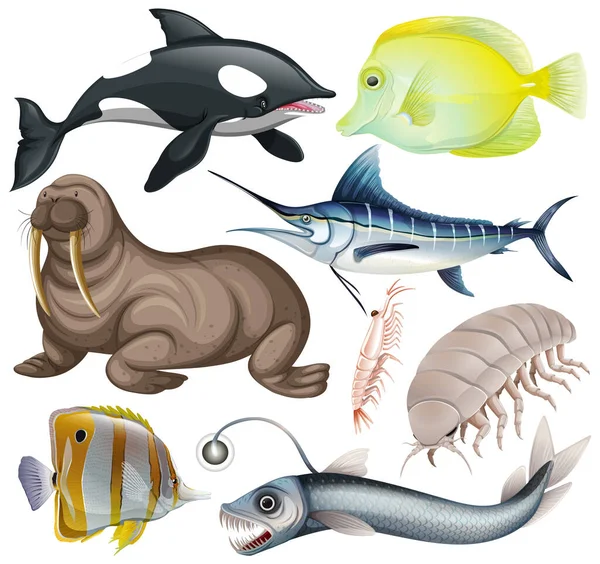 Векторная Коллекция Морских Животных — стоковый вектор