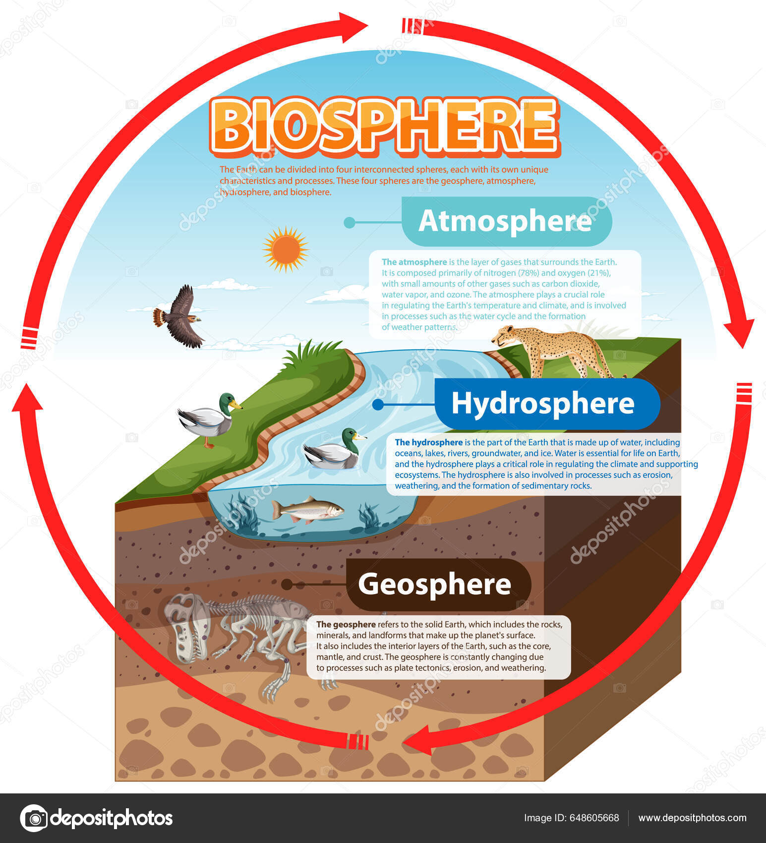https://st5.depositphotos.com/1763191/64860/v/1600/depositphotos_648605668-stock-illustration-biosphere-ecology-infographic-learning-illustration.jpg