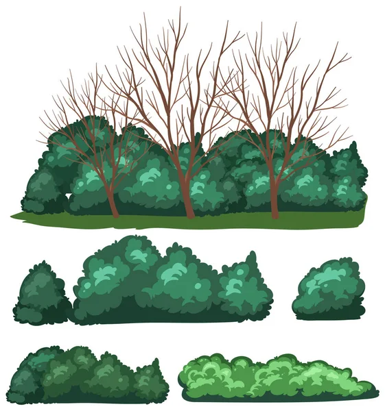 Variedade Árvores Sobre Fundo Branco Ilustração — Vetor de Stock