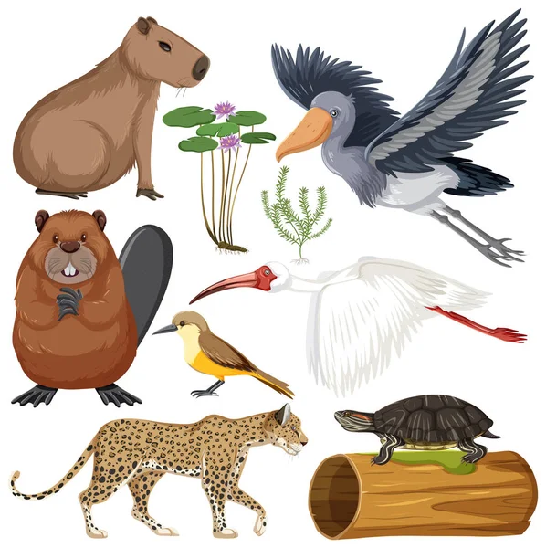 Çeşitli Sulak Alan Hayvanları Koleksiyonu Illüstrasyonu — Stok Vektör