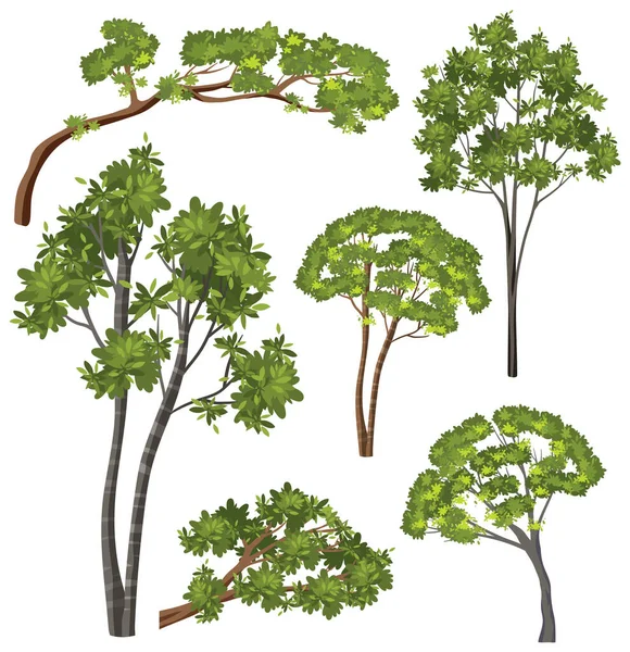Diverse Trees Vector Set Illustration — Stock Vector
