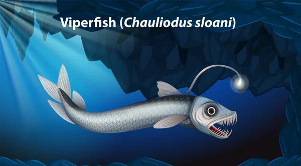 Viperfish Chauliodus Sloani Vector Illustration — Stock Vector