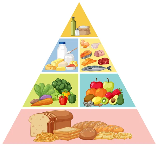 Kiegyensúlyozott Étrend Piramis Vektor Illusztráció — Stock Vector