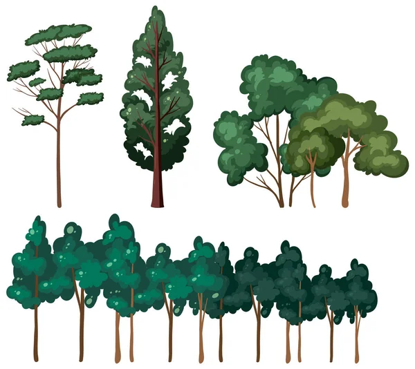 Zestaw Odizolowanych Ilustracji Drzewa — Wektor stockowy