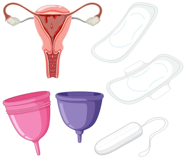 Conjunto Ilustração Equipamentos Menstruais —  Vetores de Stock