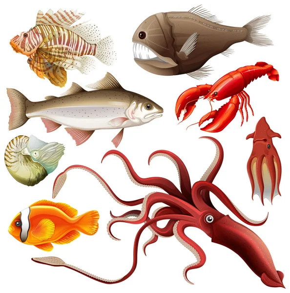Deniz Hayvanları Vektör Koleksiyonu Illüstrasyonu — Stok Vektör