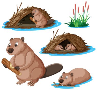 Set of beaver cartoon character illustration clipart