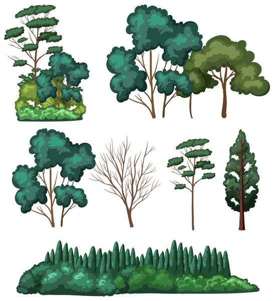 Soubor Izolovaných Ilustrací Stromu — Stockový vektor