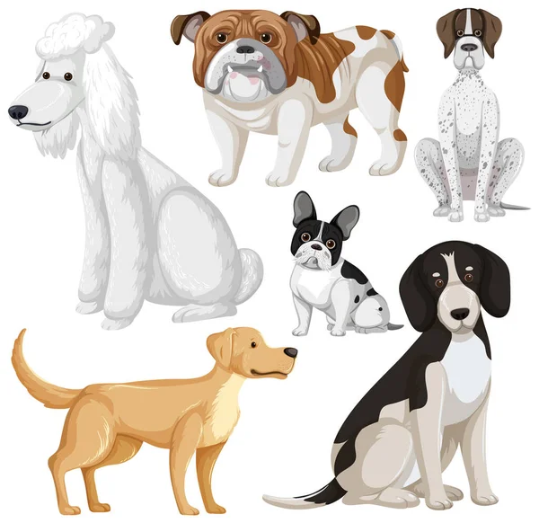 犬の品種の漫画のイラストのセット — ストックベクタ