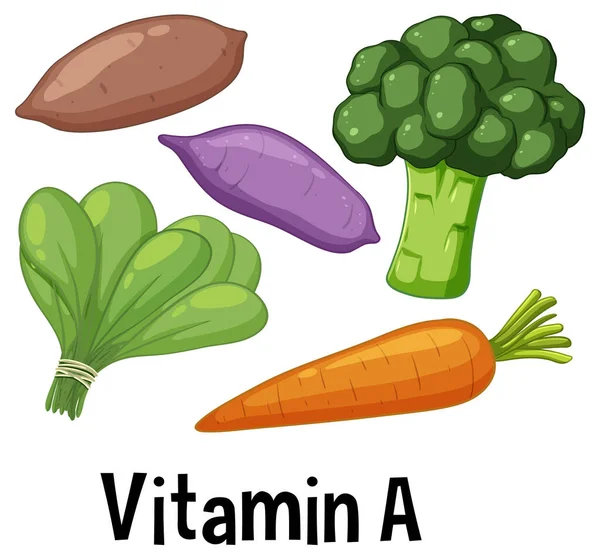 富含维生素A的色彩艳丽的蔬菜集 — 图库矢量图片