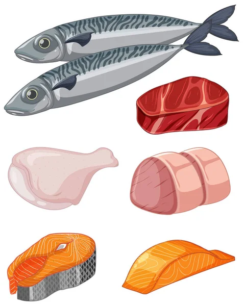 Assorted Meat Seafood Vector Voor Menu Ontwerp Illustratie — Stockvector