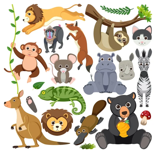 Conjunto Mistura Ilustração Caráter Animal — Vetor de Stock