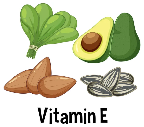 Vector Vitamin Rich Foods Illustration — Stock Vector