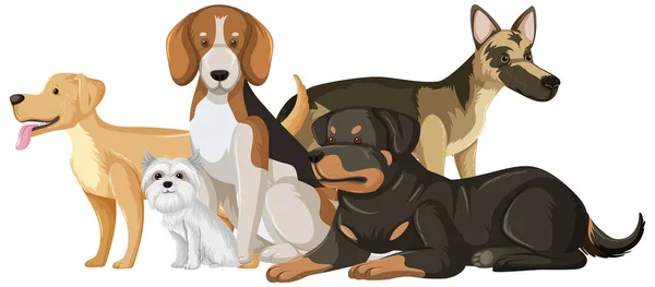 犬の品種の漫画のイラストのセット — ストックベクタ