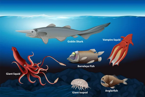 深海生物コレクションイラスト — ストックベクタ