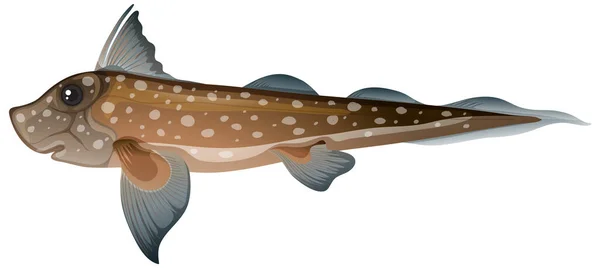 Πλάσματα Βαθέων Υδάτων Εικόνα Ψαριών Chimaera — Διανυσματικό Αρχείο